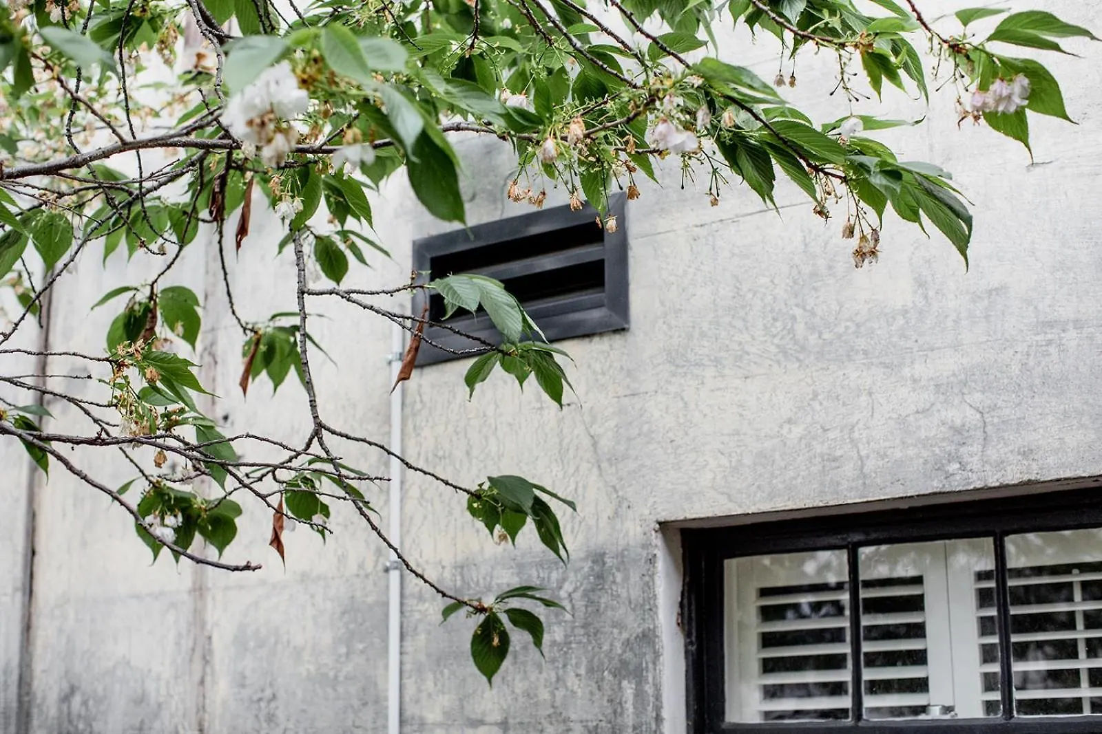 Inner-City Sanctuary With Off-Street Parking Χόμπαρτ Αυστραλία